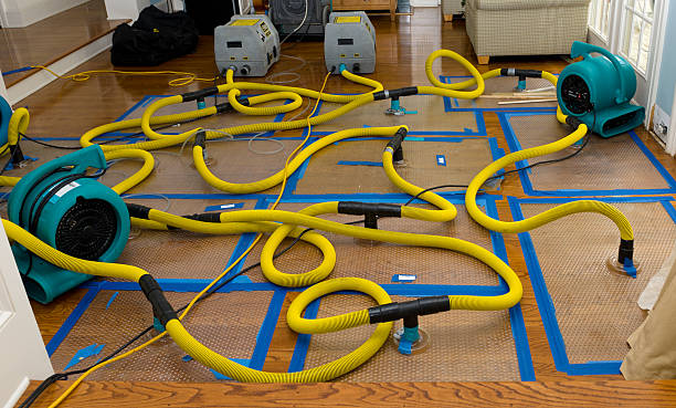 Professional Burst Pipe Water Damage technician working in Greenbrier, AR